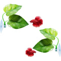 CousDUoBe Double Leaf Betta Fish Hammock Leaf Pad Aquarium Habitat Simulation Natural Organic Comfortable Rest Area Pack Of Two Leaf Pads