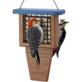 Kingsyard Suet Bird Feeder with Tail-Prop