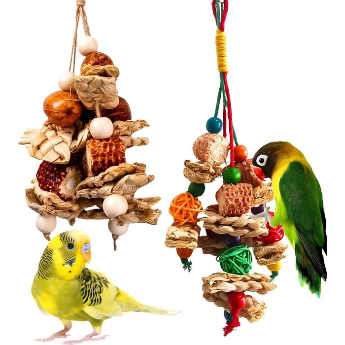2pcs Bird Toys for Parakeets,Parrot Cage Chewing Hanging Toy