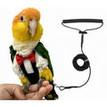 Bird Diapers Bird Harness Tuxedo Flight Suits with 80in Flying Leash Parrot Nappy with Waterproof Inner Layer Urine Wet Suite for Cockatiel Conure Parakeet Macaw Budgie-Black,M