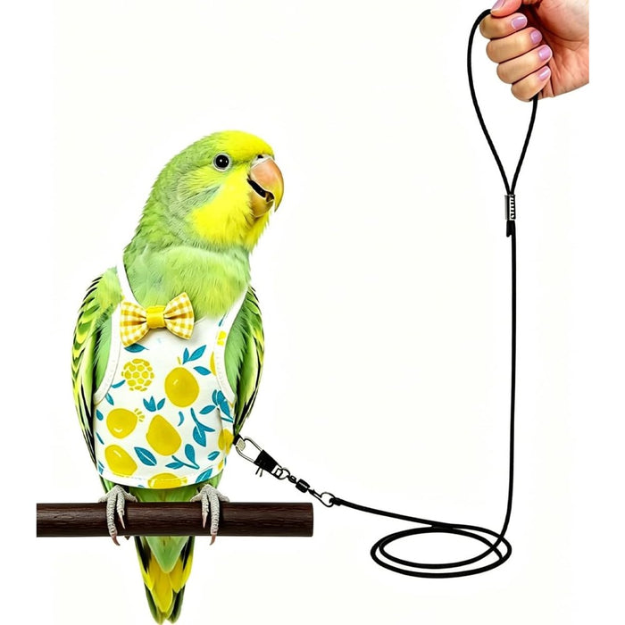 Small Birds pet Parrot Bird Harness with Leash,pet Bird Clothes (S)
