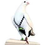 FLYPER Adjustable Mini Bird Diaper | Reusable, Washable Cloth | Comfort Fit for Parrots, Cockatiels, and Other Small Birds | Fashionable Avian Accessories Size 9.5