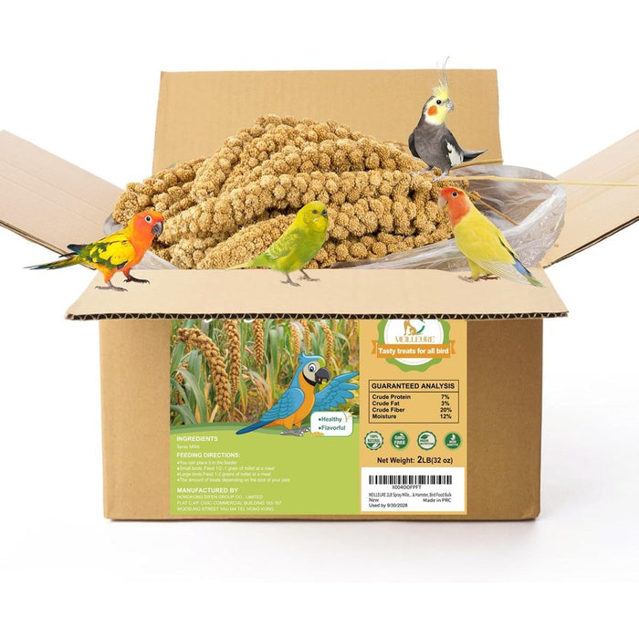 2LB Spray Millet Bird Treat for Parakeets, Natural Sun-Dried Birds Millet Spray for Parrots, Finches, Cockatiel, Budgie & Hamster, Bird Food Bulk