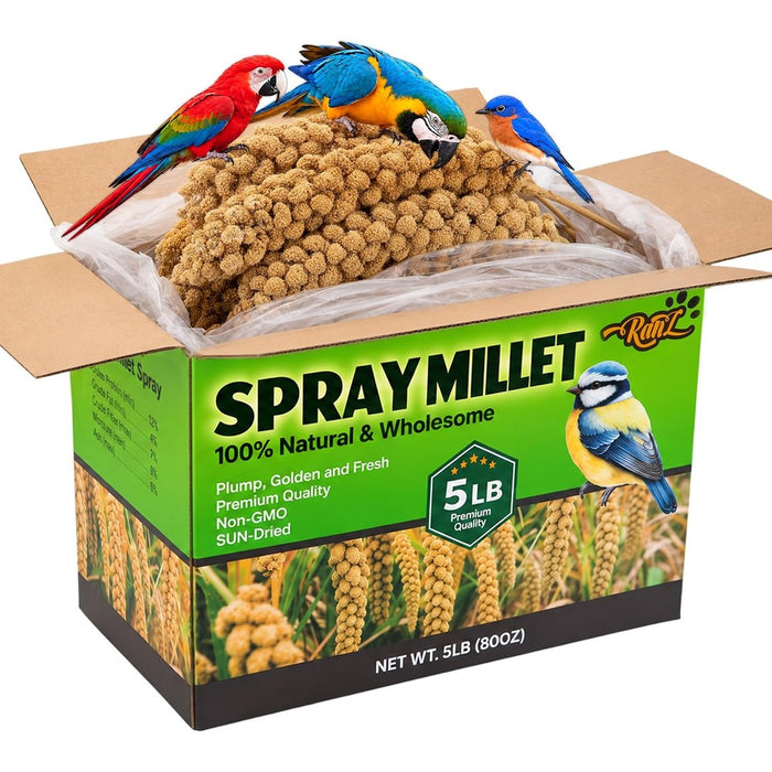RANZ 5LB Spray Millet for Birds, Natural Sun-Dried Treat for Parakeets & Parrots
