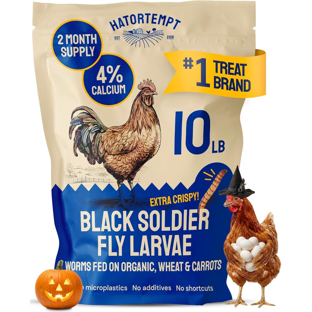 Hatortempt 10lb Black Soldier Fly Larvae for Chickens, Calci Chicken Treats