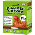 Amzey 11 LB Dried Black Soldier Fly Larvae, High-Calcium Chicken Treats