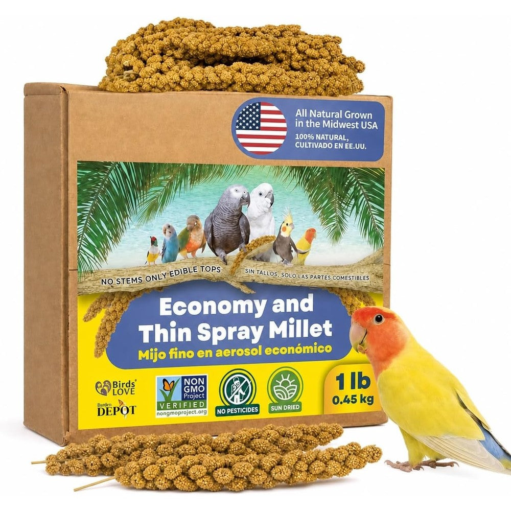Birds LOVE economy spray millet front view natural bird treat