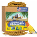Birds LOVE economy spray millet front view natural bird treat