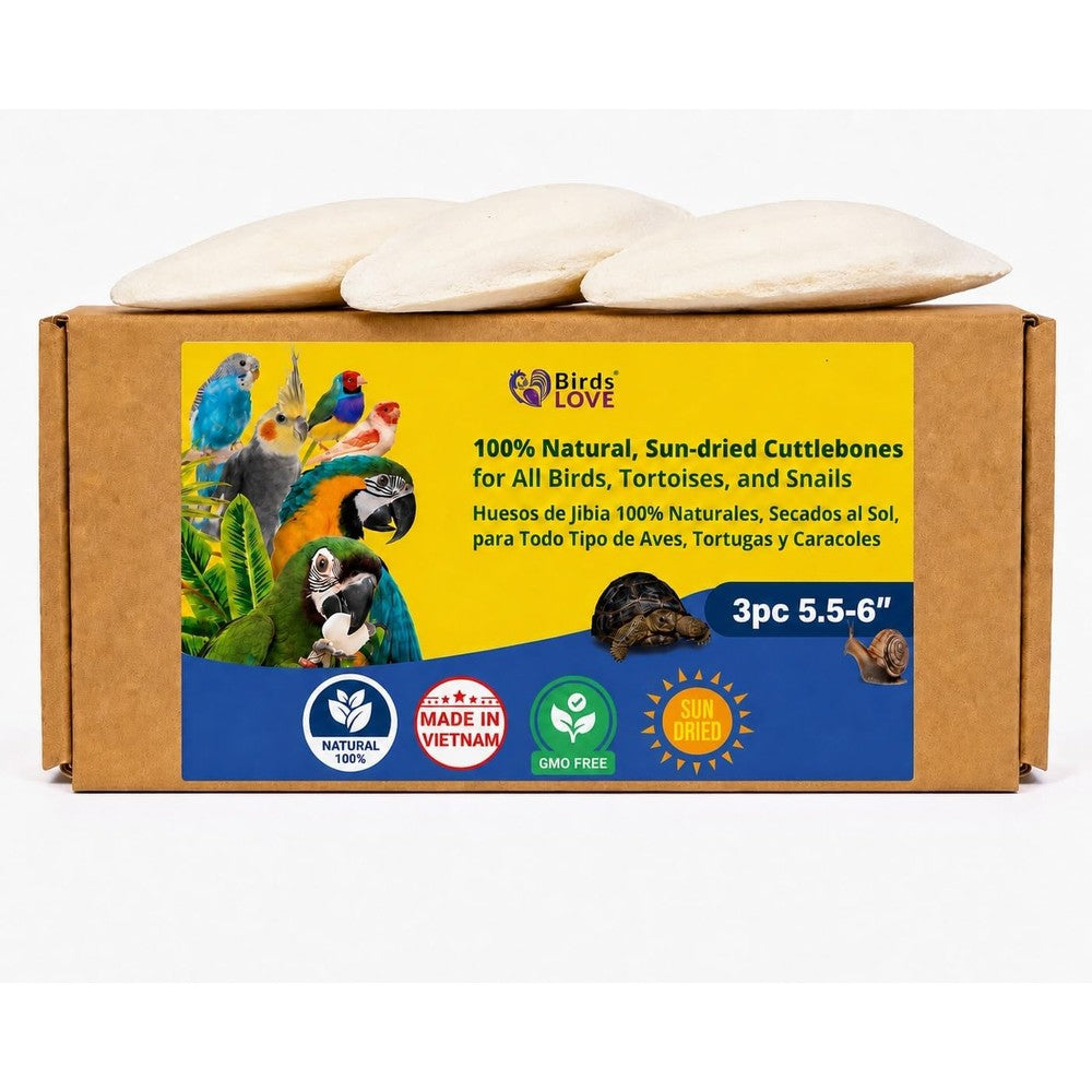 Birds LOVE cuttlebone front view with holder