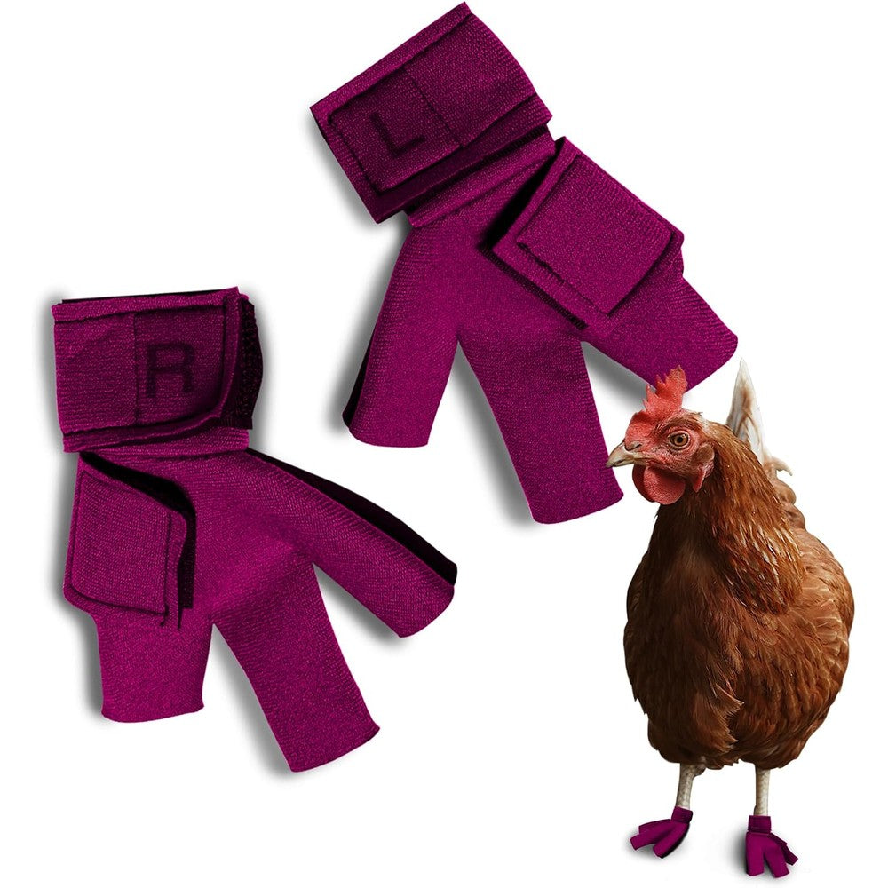 Birdy Bootie chicken shoes front view