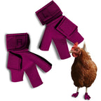 Birdy Bootie chicken shoes front view