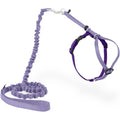 PetSafe Come With Me Kitty Harness and Bungee Cat Leash, Lilac, Medium