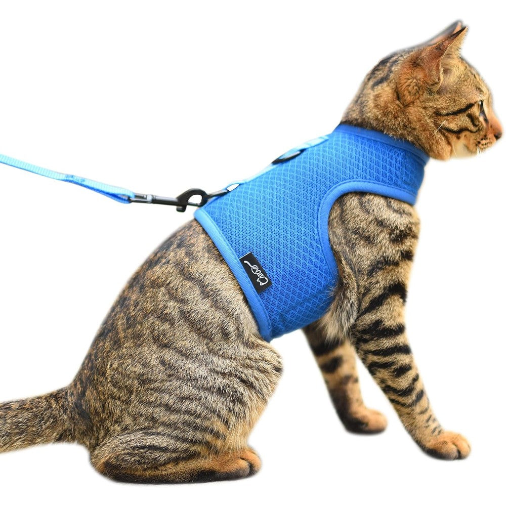 Cat Harness and Leash Set for Walking Escape Proof, Blue, Large