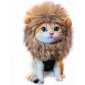 RosyLife lion mane wig for cat costume front view