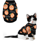 CooShou black pumpkin sweater front view showcasing pumpkin design
